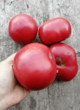 Изображение товара