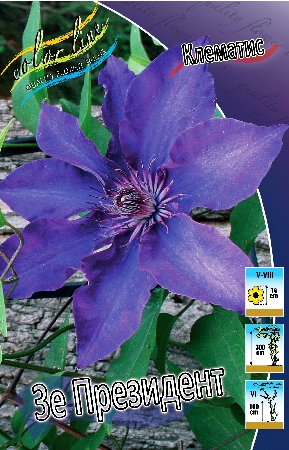 Изображение товара