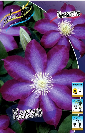 Изображение товара