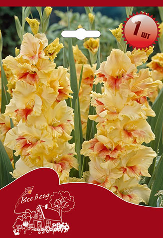 Изображение товара