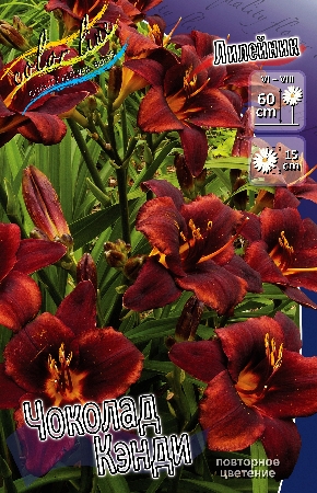 Изображение товара