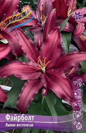 Изображение товара