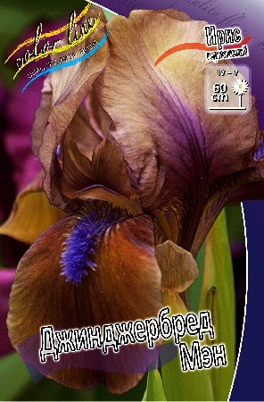 Изображение товара