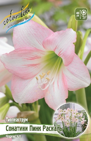 Изображение товара