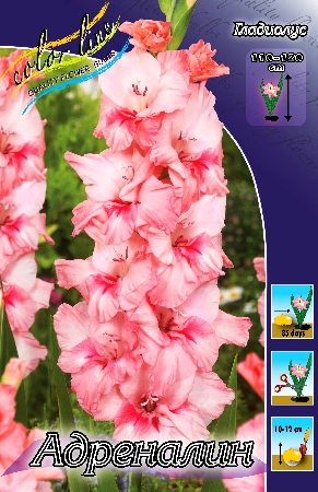 Изображение товара