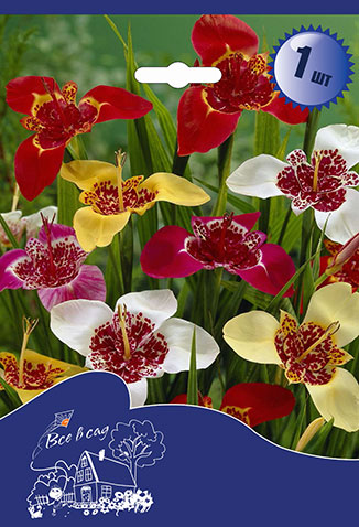 Изображение товара