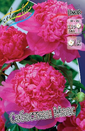 Изображение товара