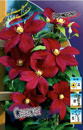 Изображение товара