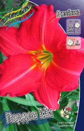 Изображение товара