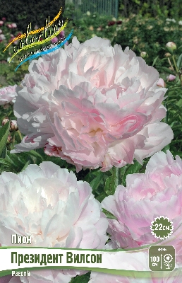 Изображение товара