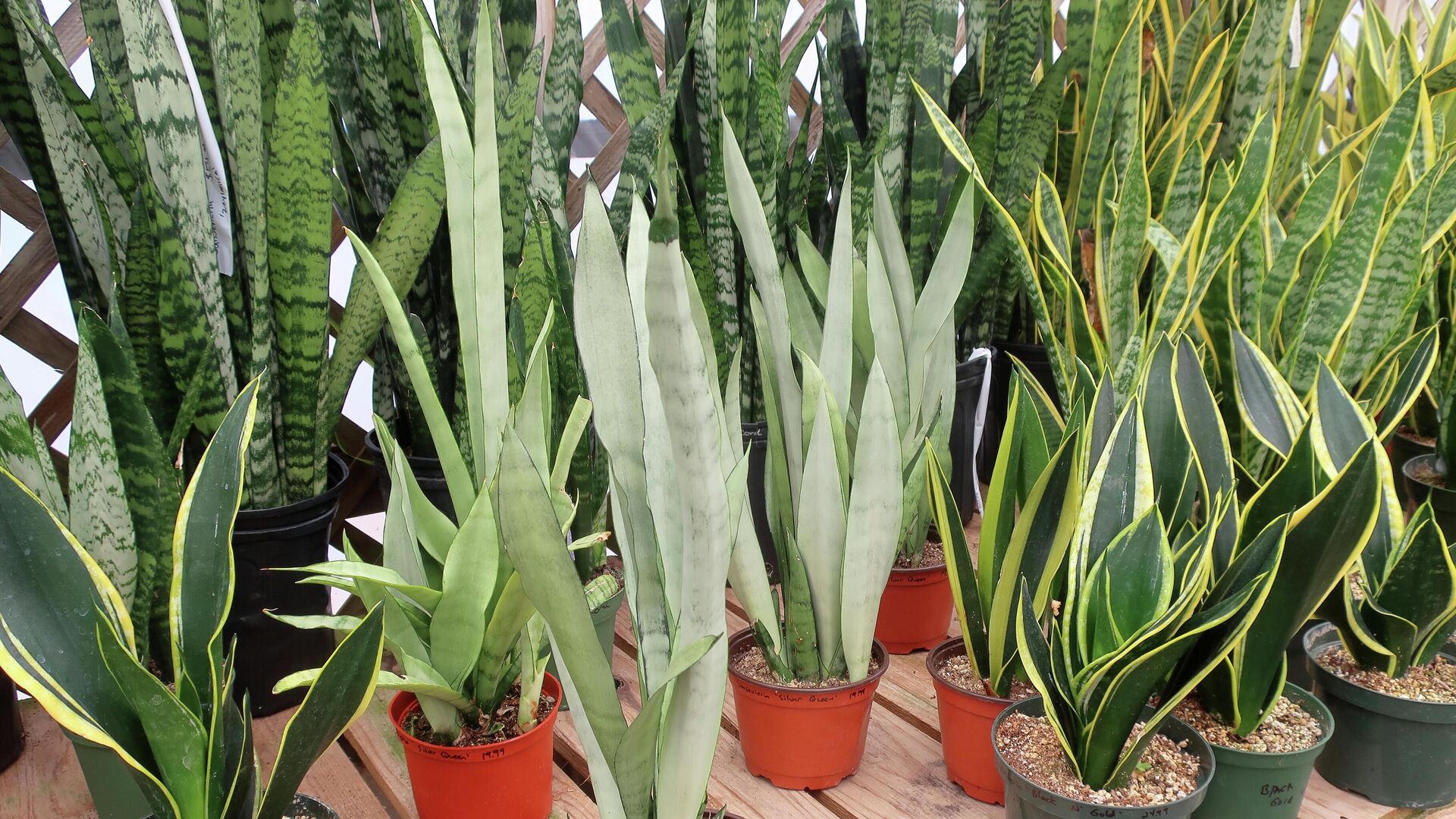 Изображение товара