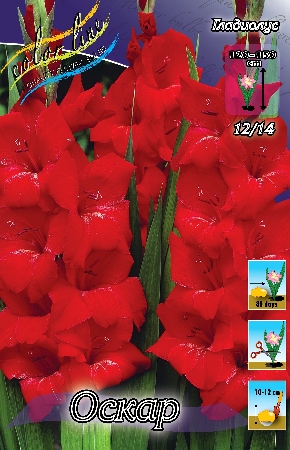 Изображение товара