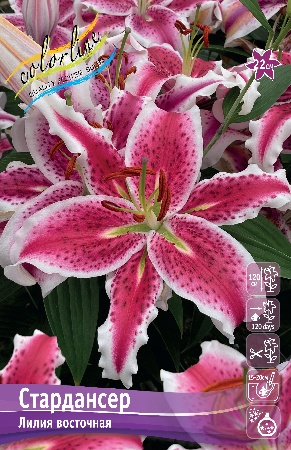 Изображение товара