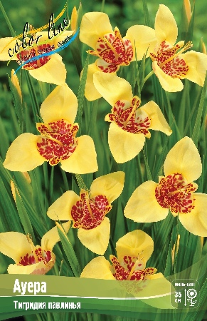 Изображение товара