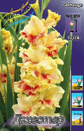 Изображение товара