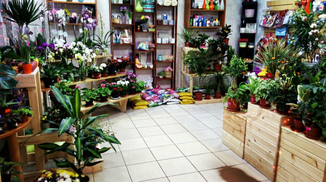 большой выбор