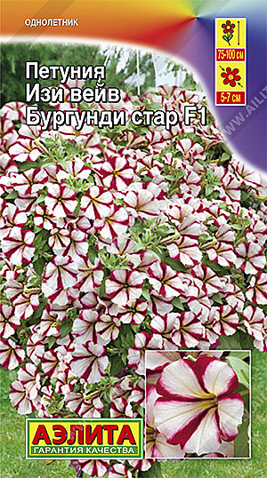 Ц П Изи Вэйв бургунди стар Аэлита