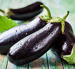 Рассада Баклажан Синенькие 1шт
