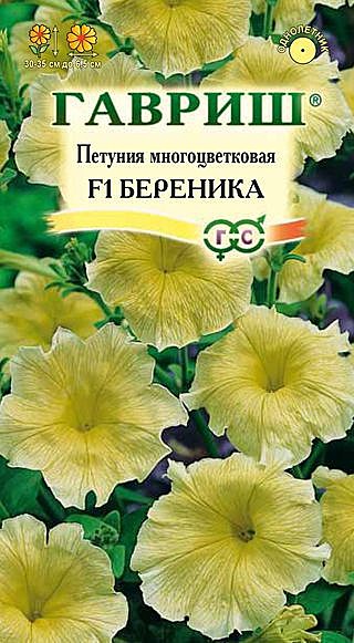 Ц П Береника многоцв. Гавриш