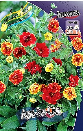 8016 Лапчатка Арк Эн Сел 1шт