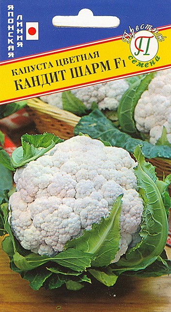 К Цв Кандит Шарм Престиж