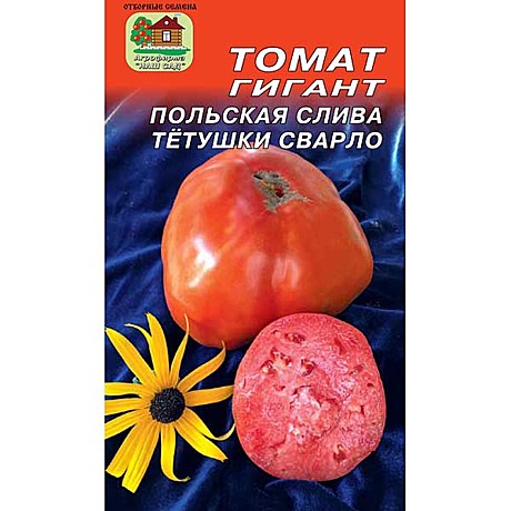 Т Польская слива тетушки Сварло Наш сад