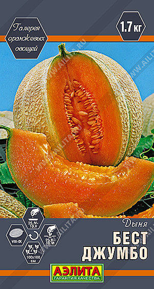 Дыня Бест Джумбо Аэлита