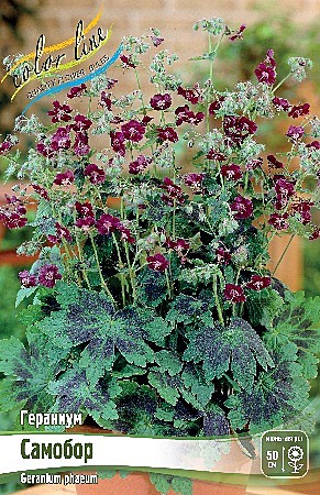 3525 Гераниум Самбор 1шт