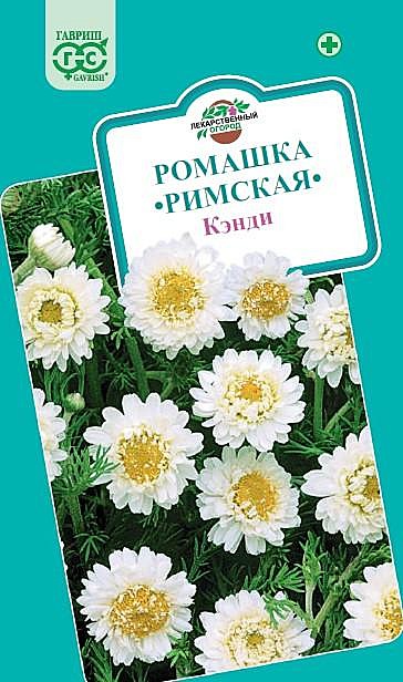 Ф Ромашка Римская Кэнди (Пупавник) Гавриш