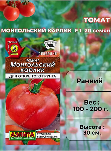 Т Монгольский карлик Аэлита