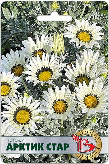 Гацания Арктик Стар 7шт Биотехника