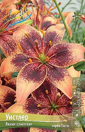 7438 Лилия Уистлер аз 5шт/1шт/
