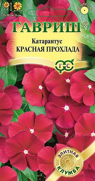 Ц Катарантус Красная прохлада Гавриш