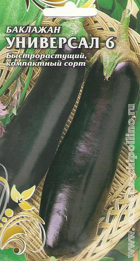 Б Универсал 6 Чиполлино