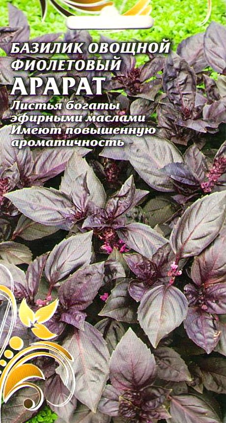 Ф Баз фиолетовый Чиполлино