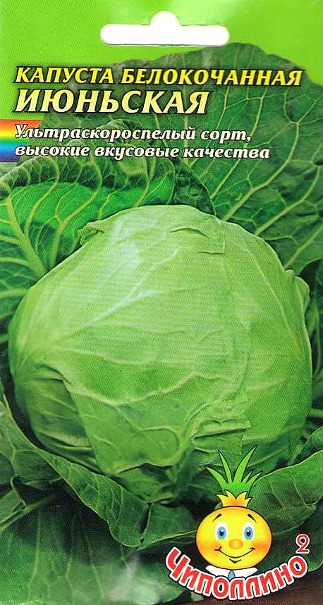 К Июньская Чиполлино