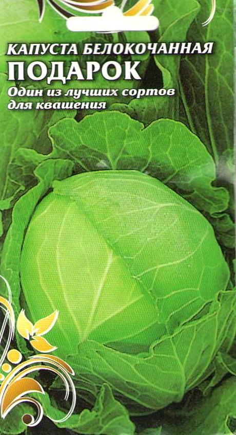 К Подарок Чиполлино