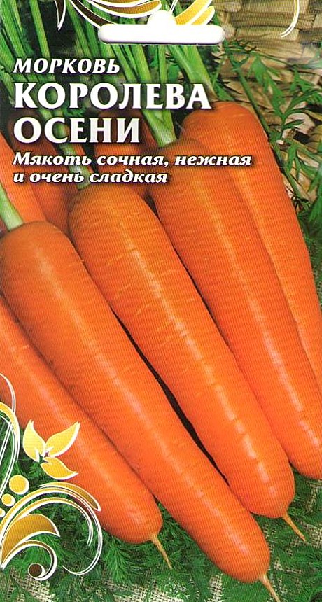 М Королева осени Чиполлино