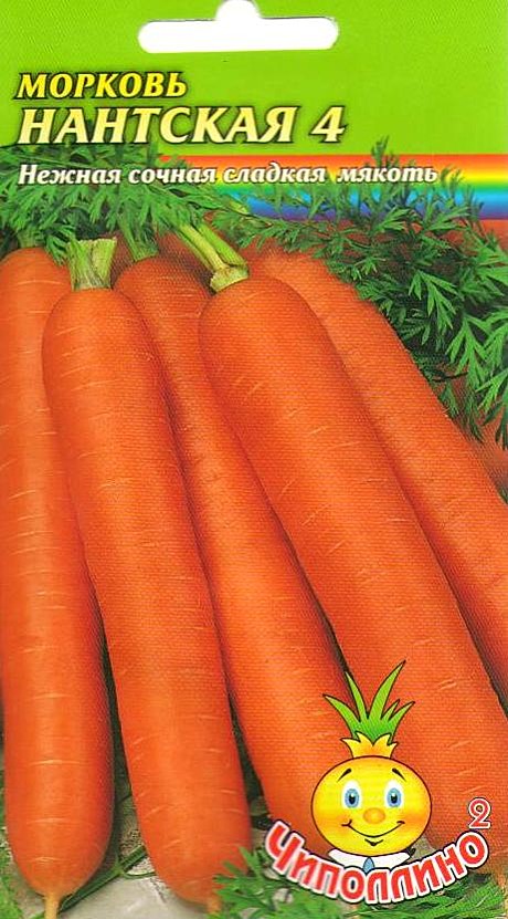 М Нантская 4 Чиполлино 