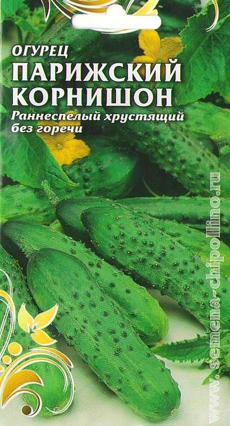 О Парижский корнишон Чиполлино