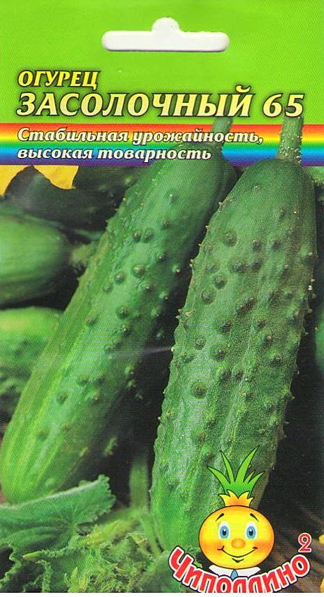 О Засолочный Чиполлино