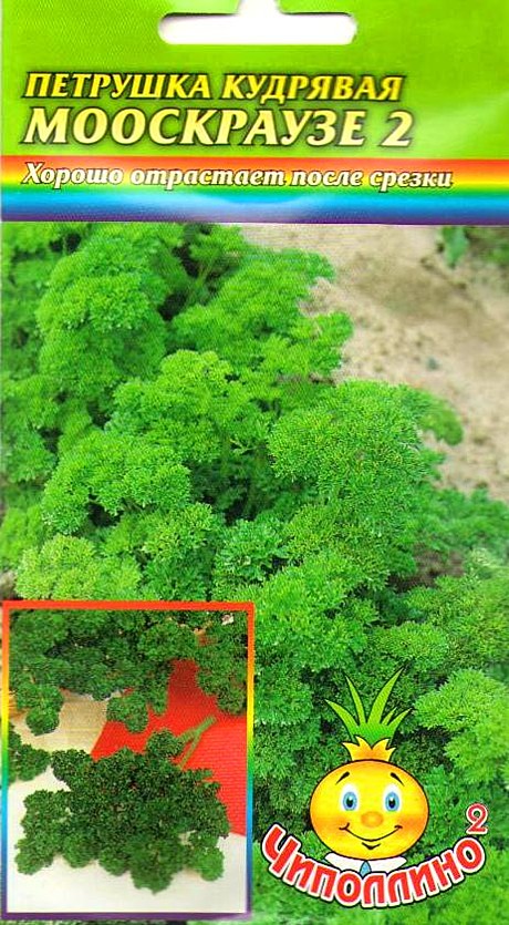 Ф Пет кудрявая Мооскраузе Чиполлино