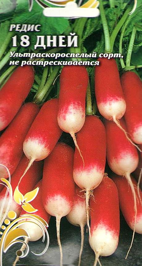 Р 18 дней Чиполлино