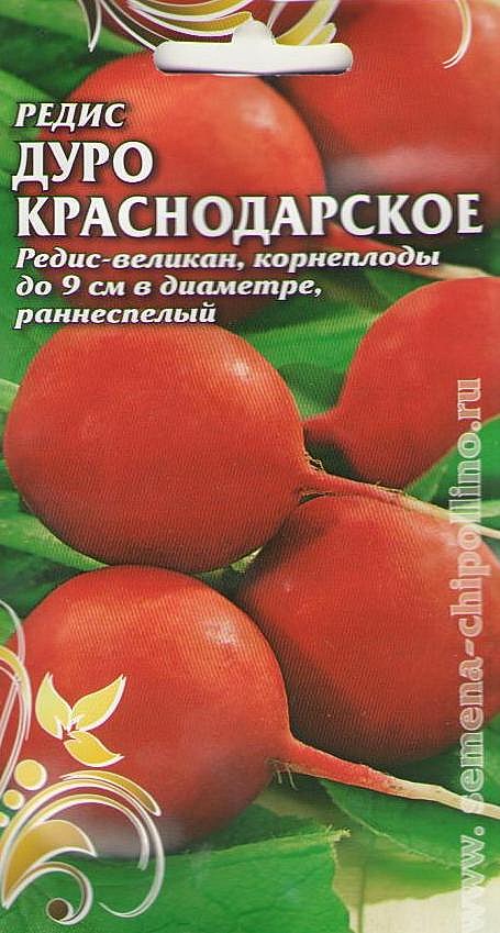 Р Дуро Краснодар. Чиполлино