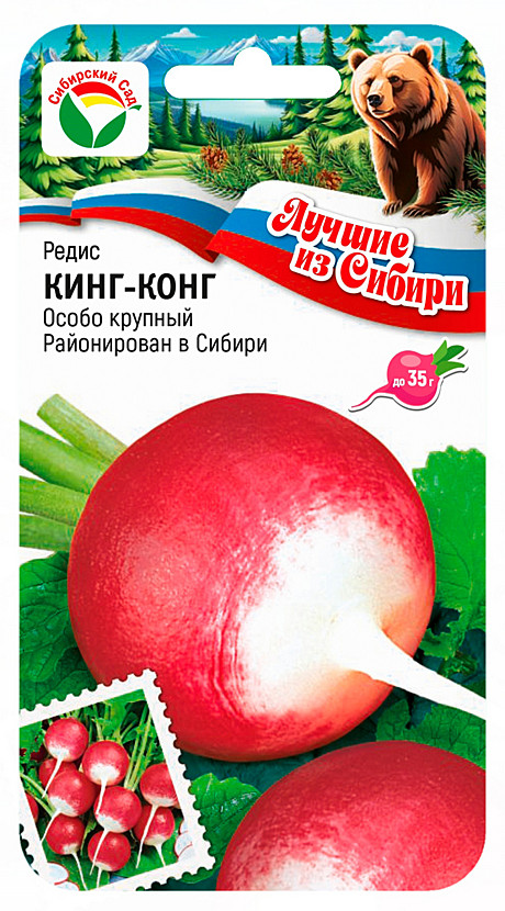 Р Кинг-конг Сиб сад ЛС