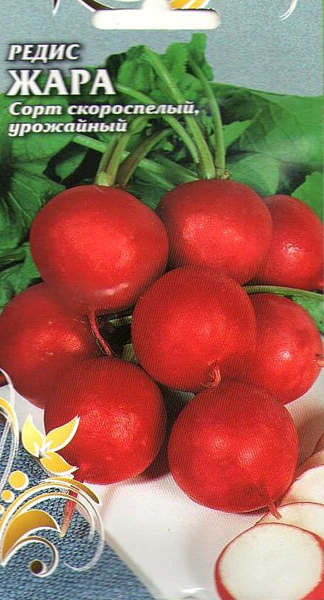 Р Жара Чиполлино