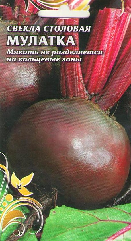 С Мулатка Чиполлино