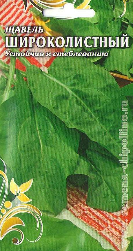 Ф Щавель Широколистный Чиполлино