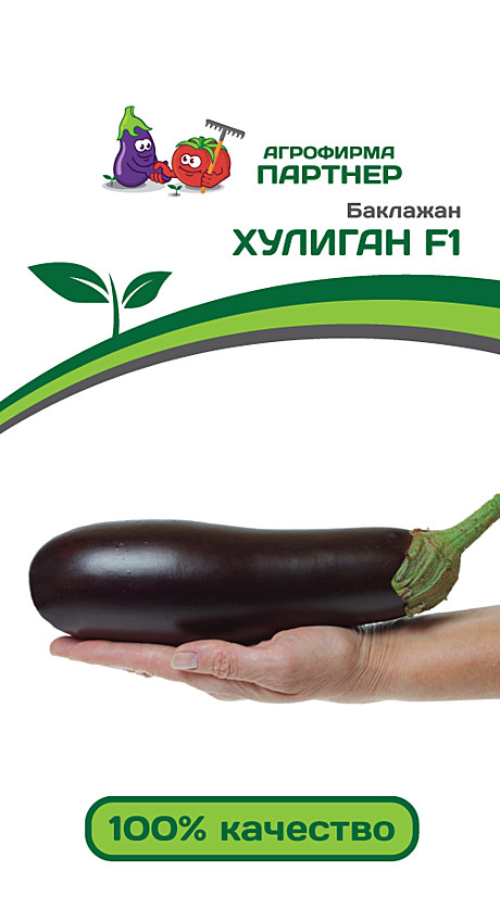 Б Хулиган Партнер