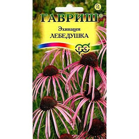 Ц Эхинацея Лебедушка Гавриш
